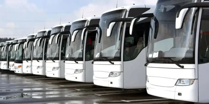 568 حافلة جديدة تصل ميناء الجزائر لتحديث قطاع النقل العمومي