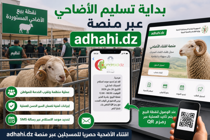 عيد الأضحى: يمكنكم الآن استلام أضحيتم المستوردة...هذه الإجراءات الازمة لإتمام العملية