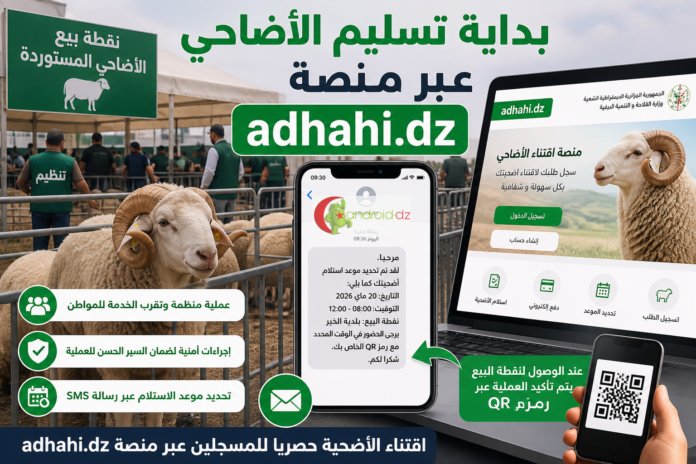 عيد الأضحى: يمكنكم الآن استلام أضحيتم المستوردة...هذه الإجراءات الازمة لإتمام العملية