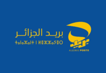 بريد الجزائر يكشف تأثير حملات التوعية.. ووعي الزبائن يحد من الاحتيال السيبراني بريد الجزائر الاحتيال الإلكتروني